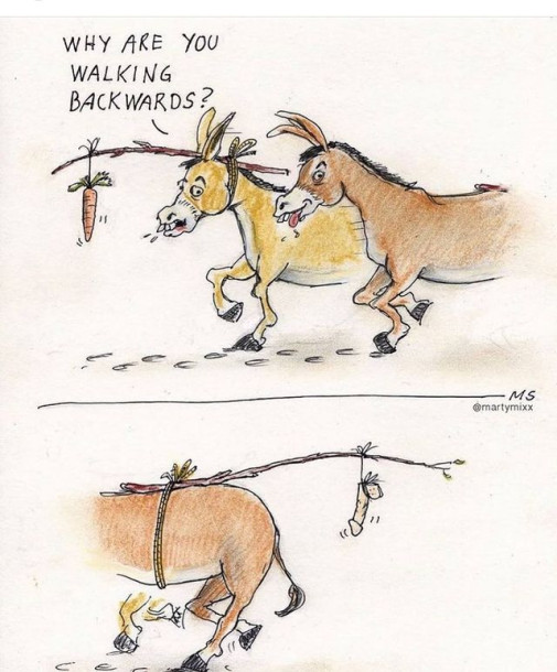 Humor oslíkov